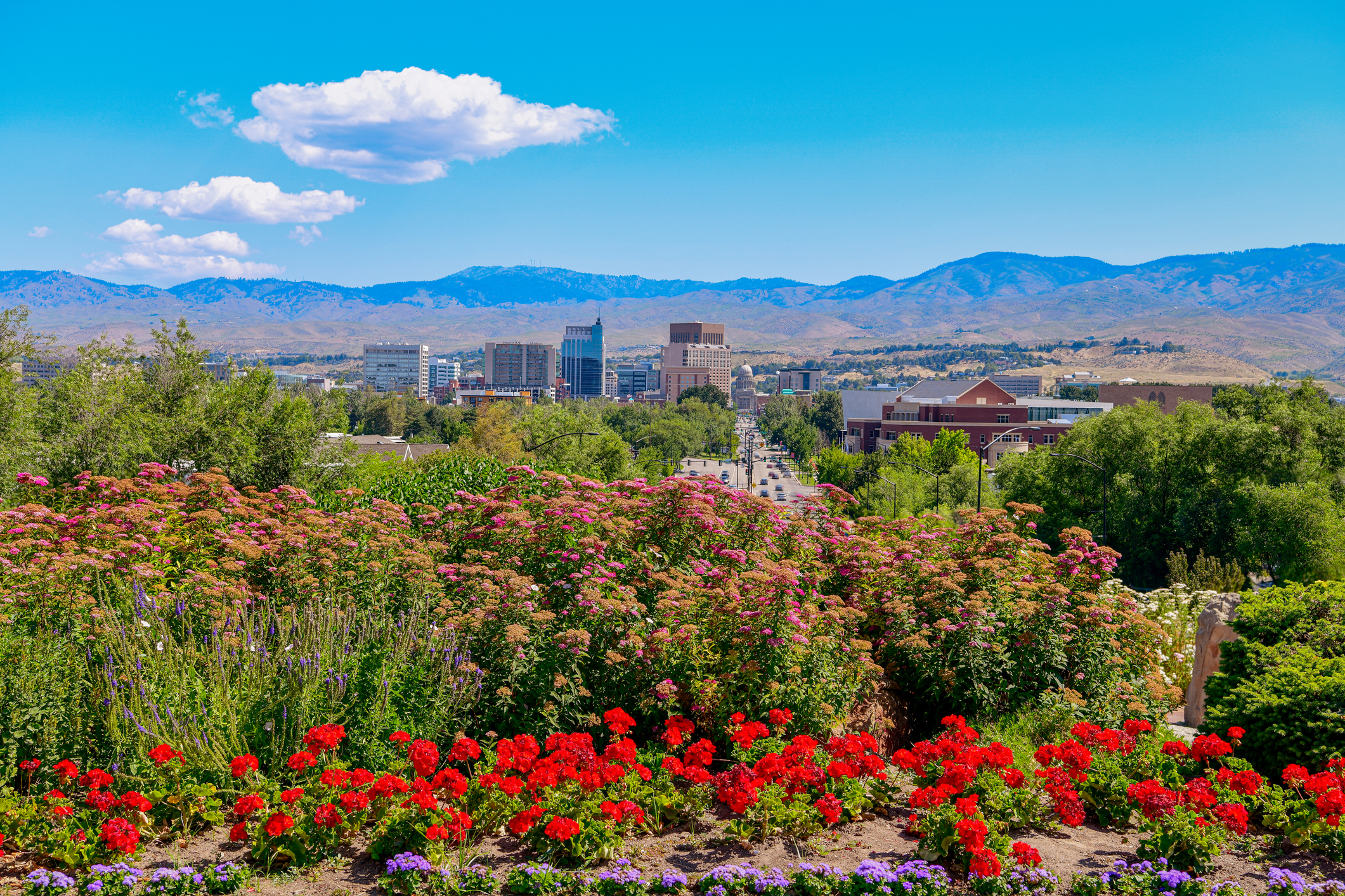 Public flower garden above the city of Boise Idaho skyline